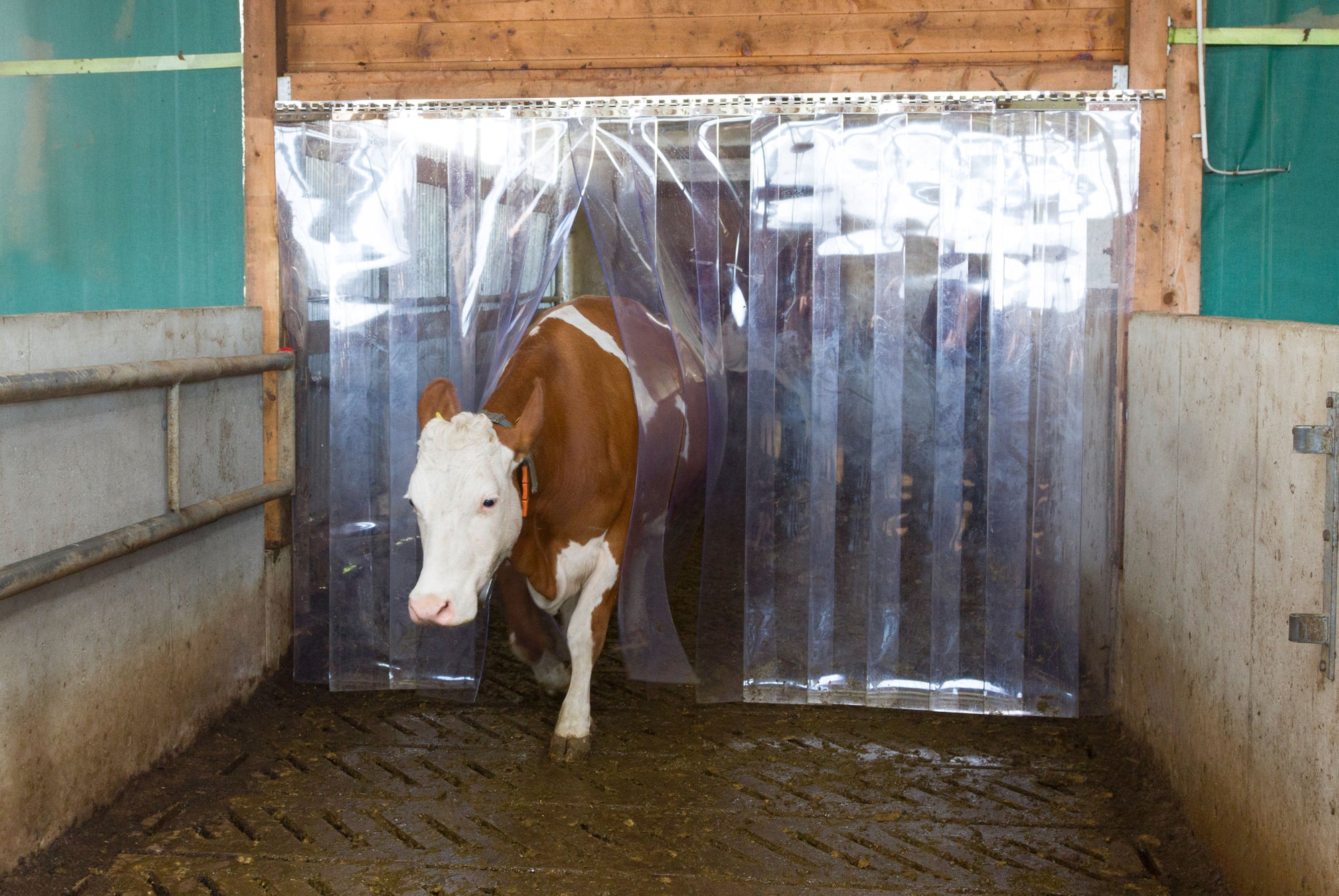 PVC-Streifenvorhang 3 mm dick; 30 cm breit