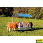 Compact Viereckraufe Patura