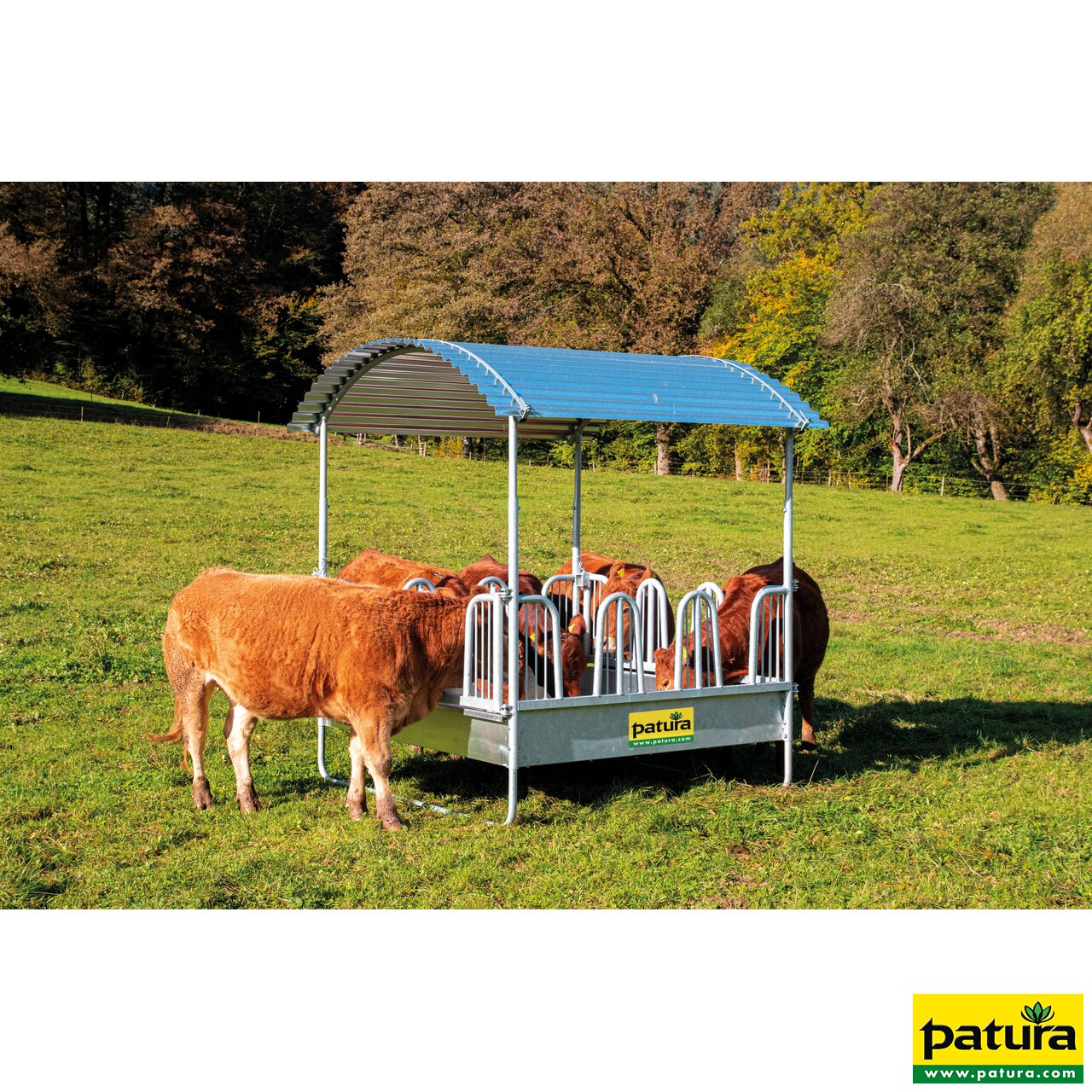 Compact Viereckraufe Patura