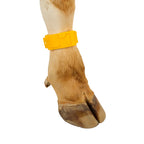 Fesselbänder aus Kunststoff