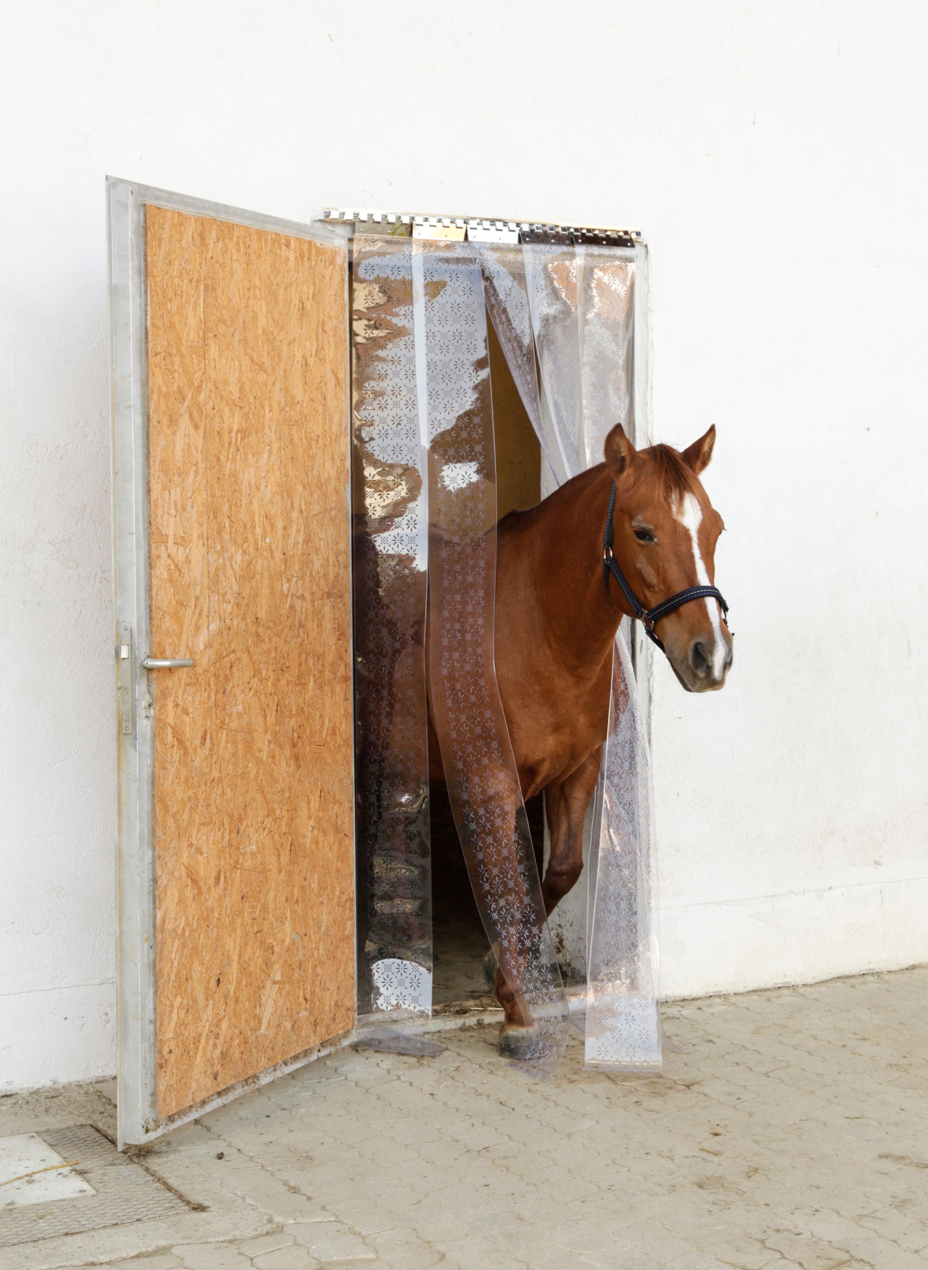 Fliegen-Streifenvorhang Set