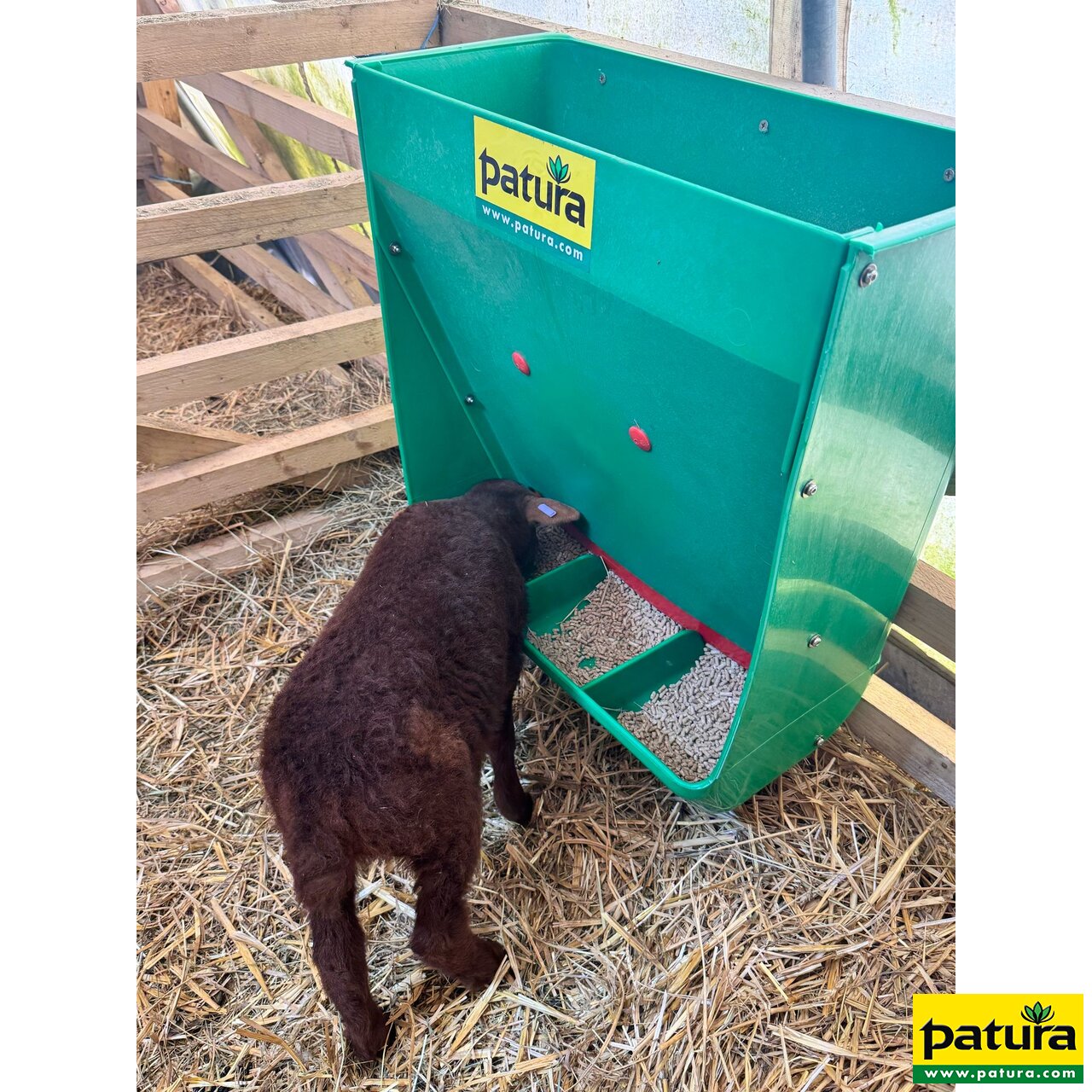 Futterautomat für Lämmer und Kälber