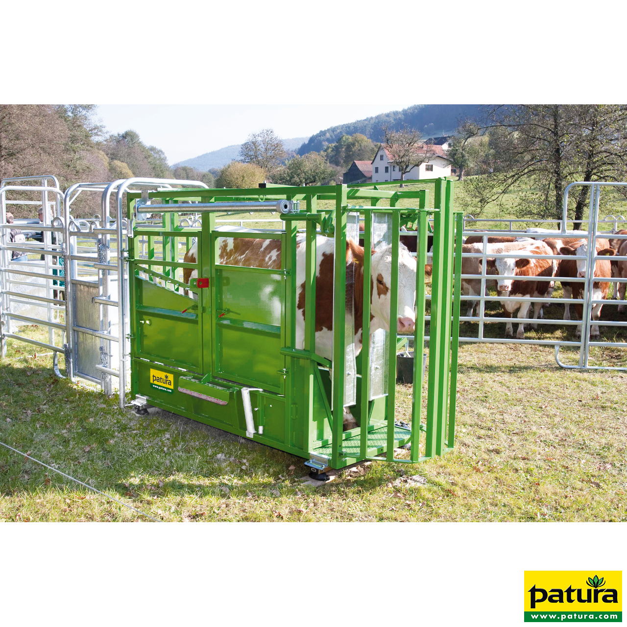 Klauenstand, Behandlungsstand für Rindvieh Patura