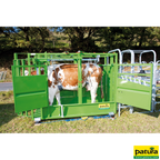 Klauenstand, Behandlungsstand für Rindvieh Patura