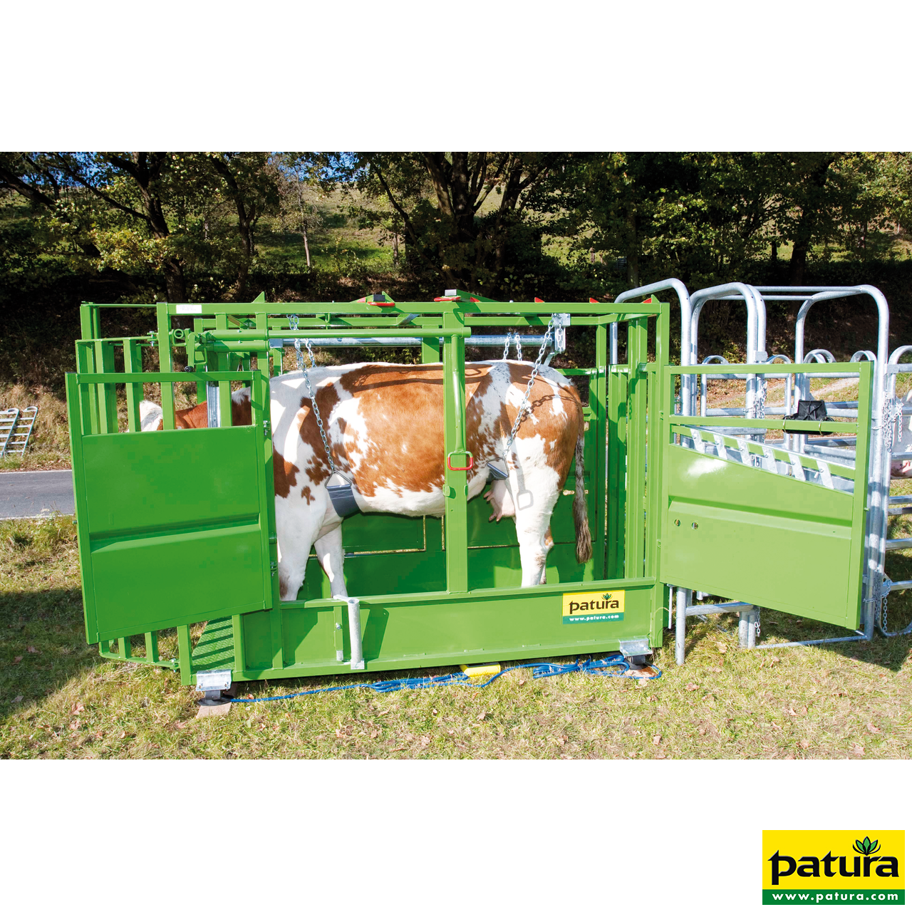 Klauenstand, Behandlungsstand für Rindvieh Patura