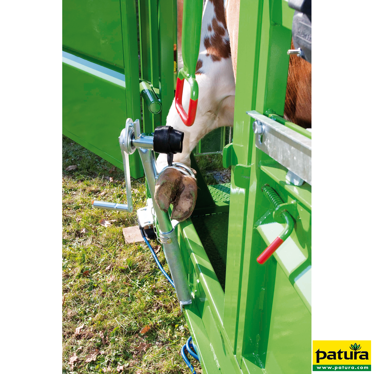 Klauenstand, Behandlungsstand für Rindvieh Patura