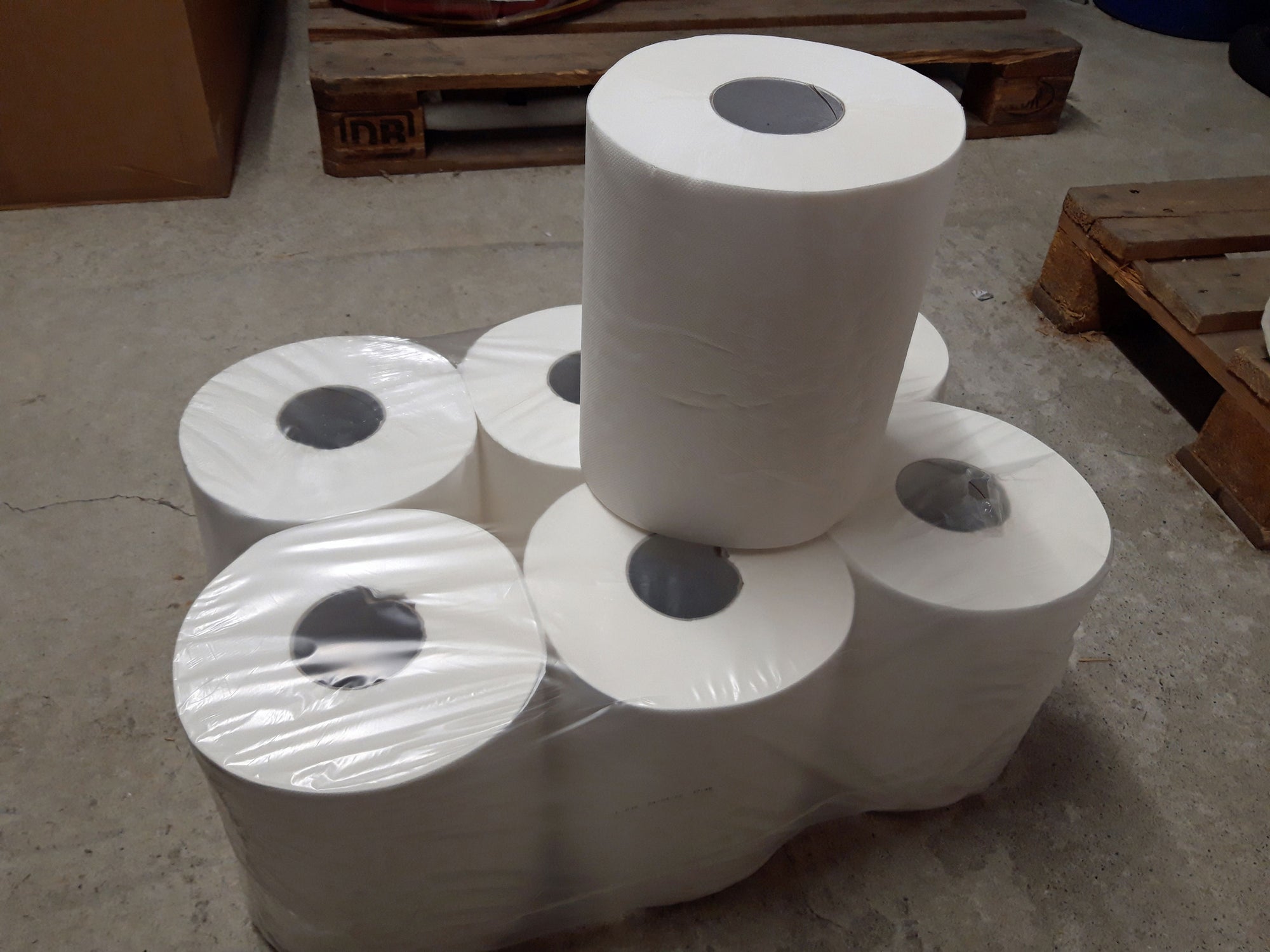 Euterpapier trocken 6 Rollen (1 Pack)