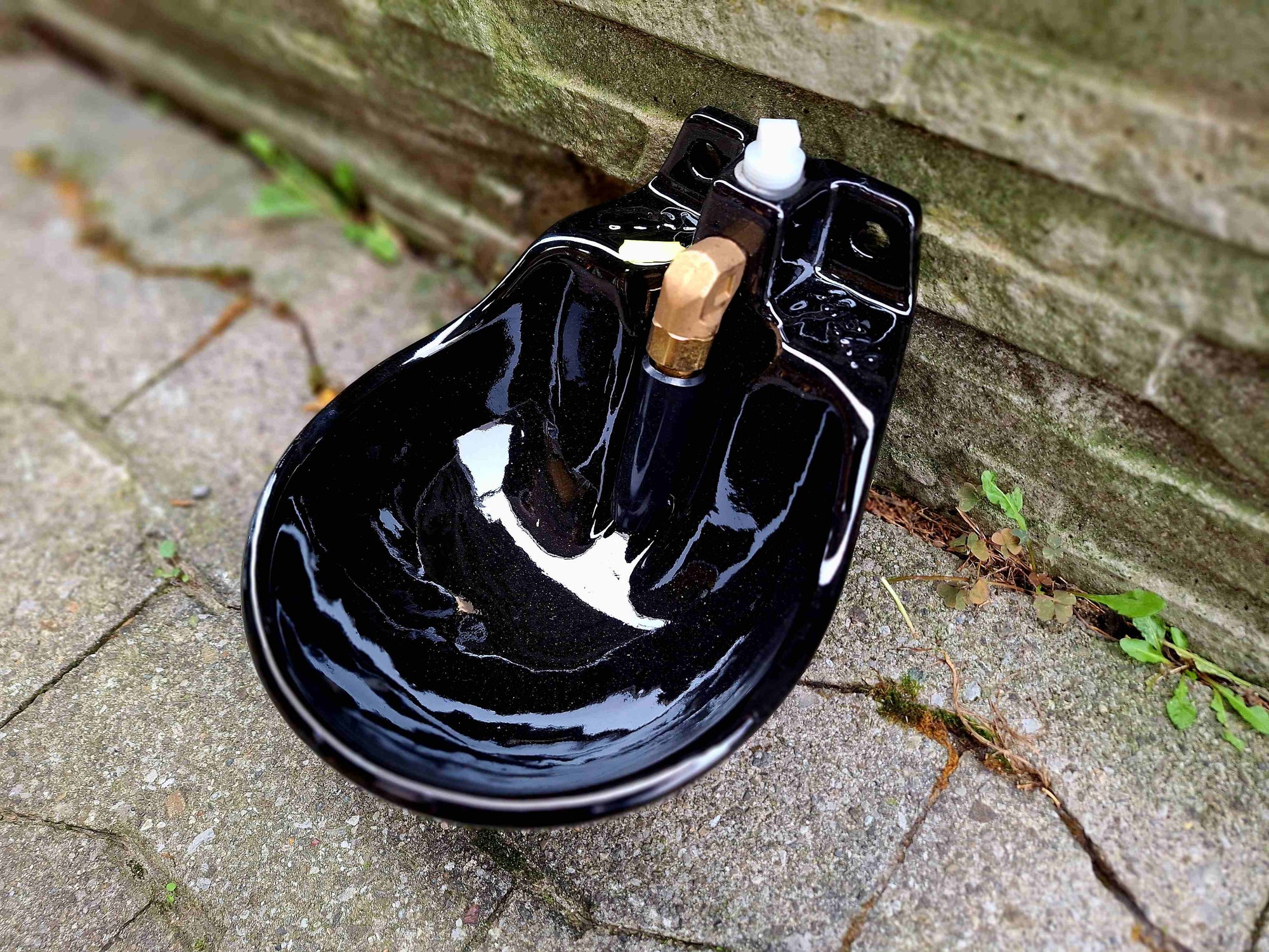 Tränkebecken Suevia Ideal 61