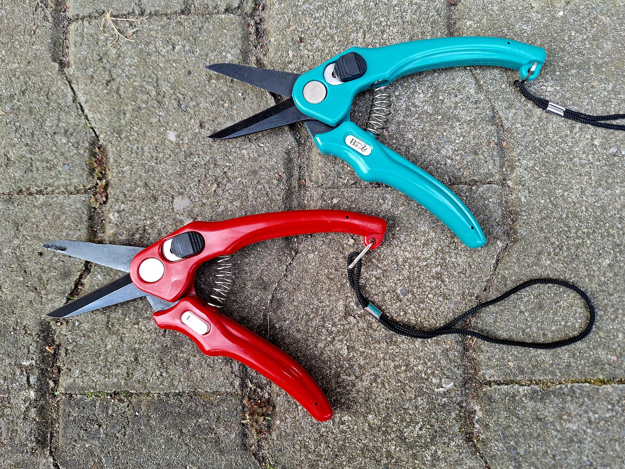 Klauenscheren für Schafe und Ziegen