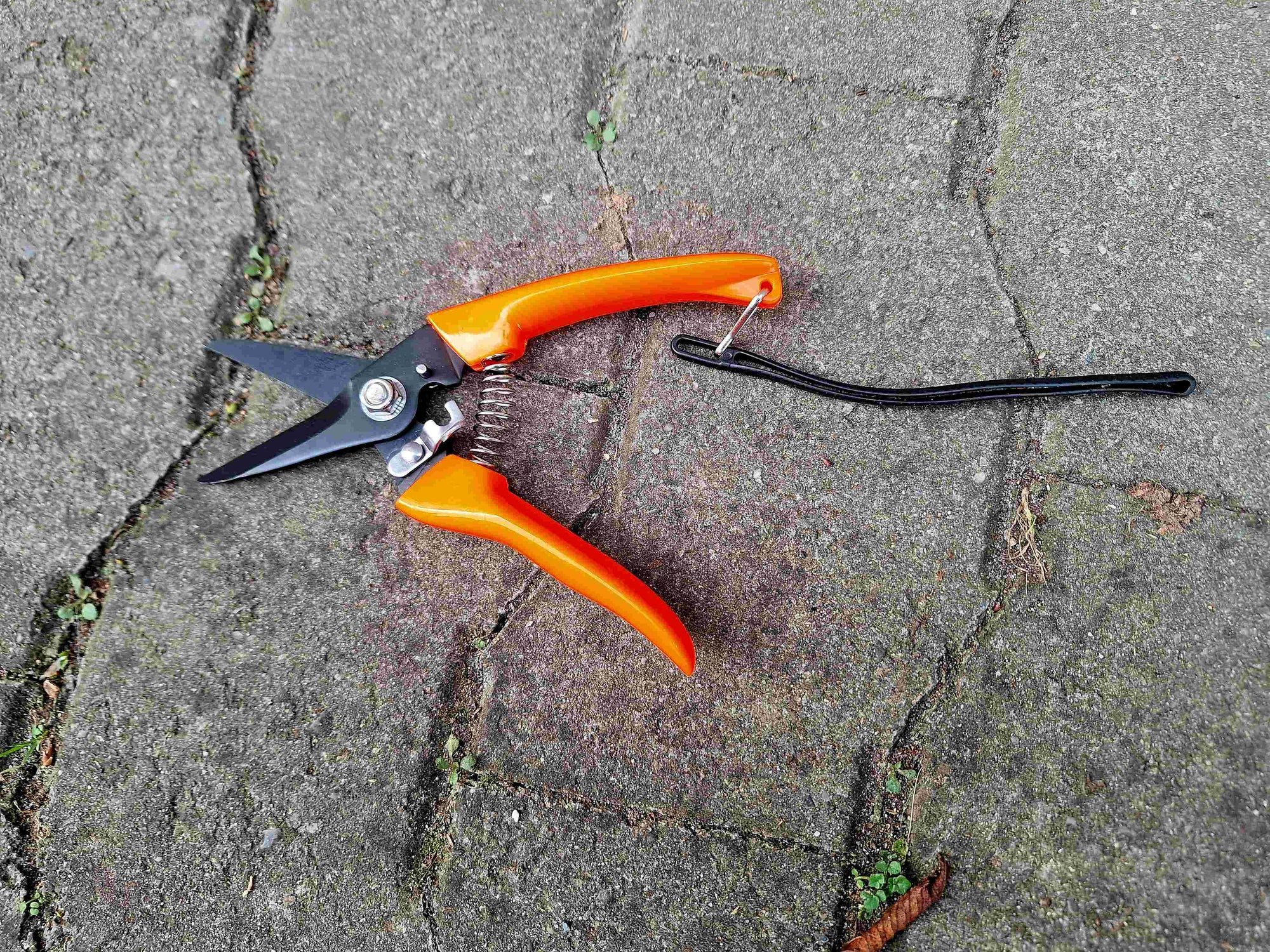 Klauenschere für Schafe und Ziegen, klein