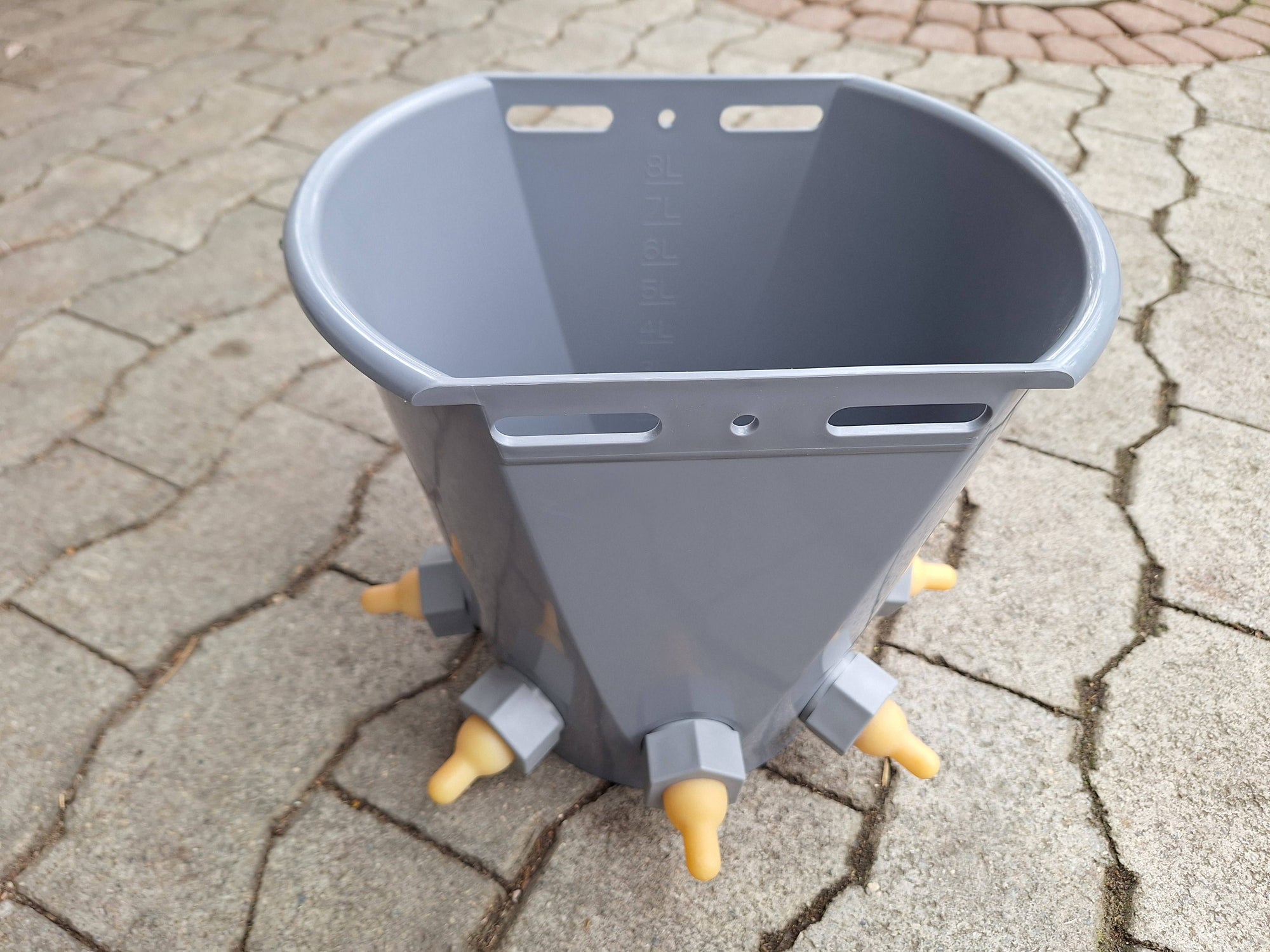 Lammeimer mit 5 Saugern