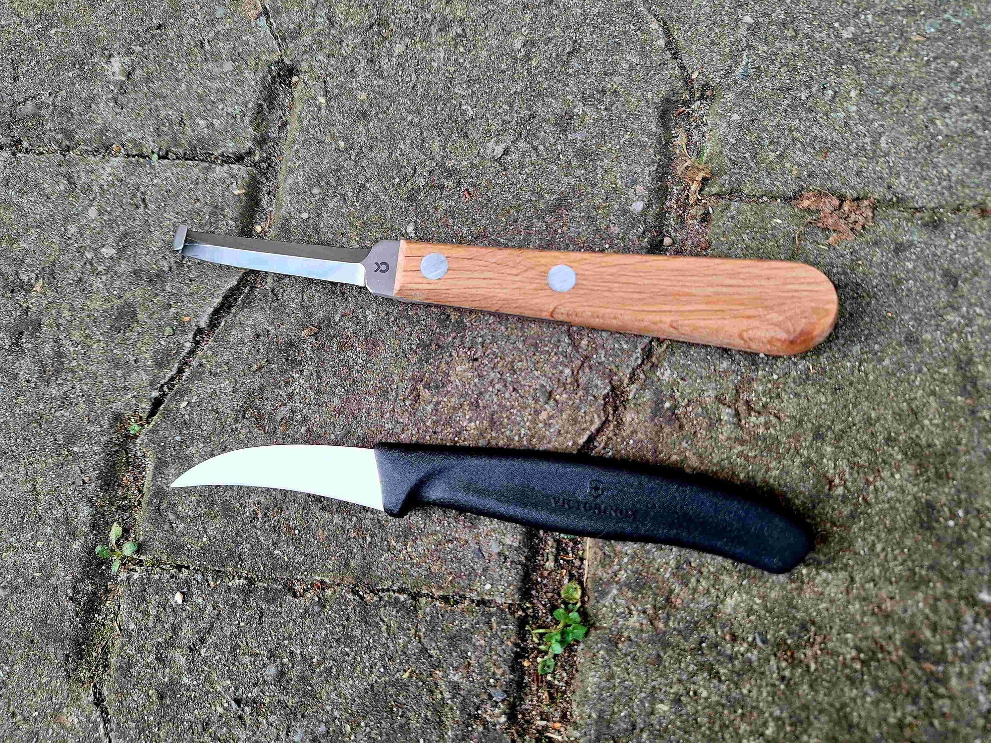 Renetten / Klauenmesser für Schafe und Ziegen