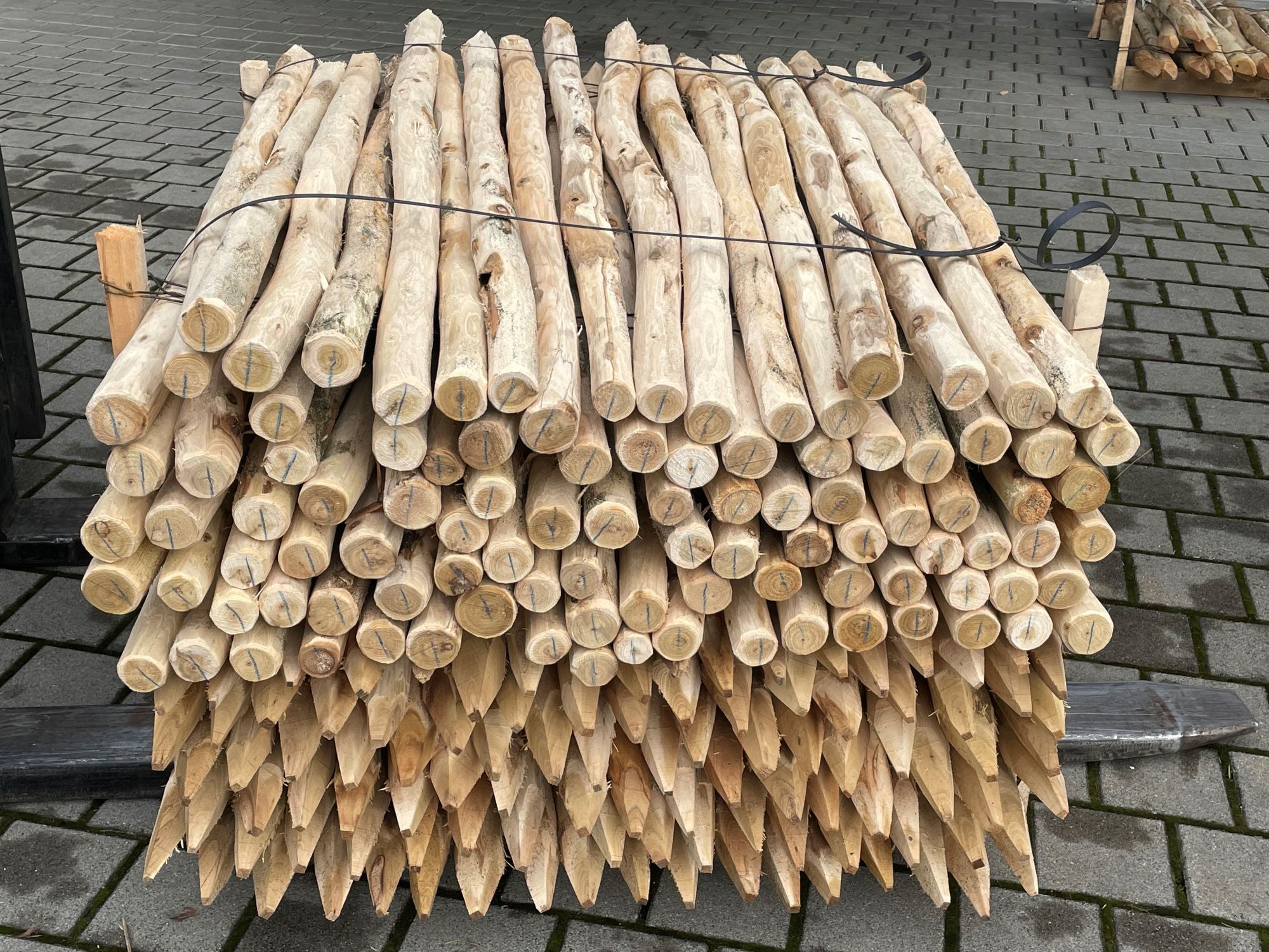 Sonderposten: Akazienpfähle Dm 4 - 6 cm, rund