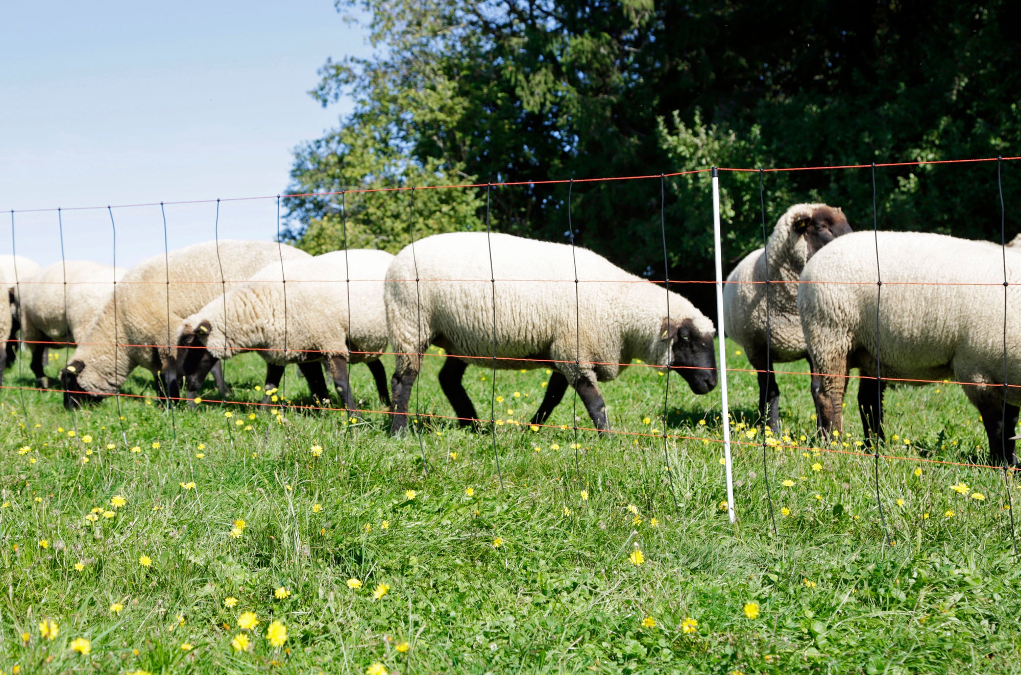 Titan Light Netze 90 cm