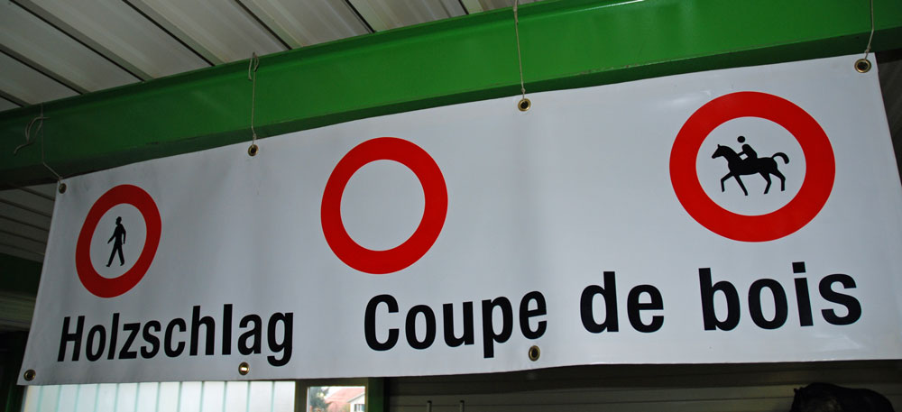 Holzschlag-Blache 250 x 70 cm