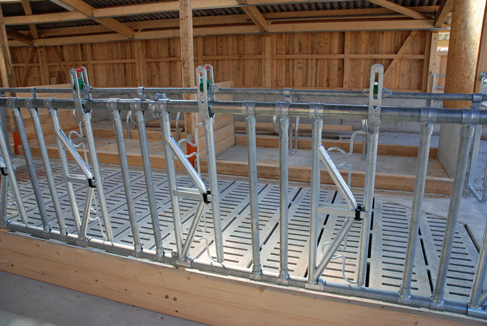 Sicherheits-Selbstfanggitter für Rinder / Kühe