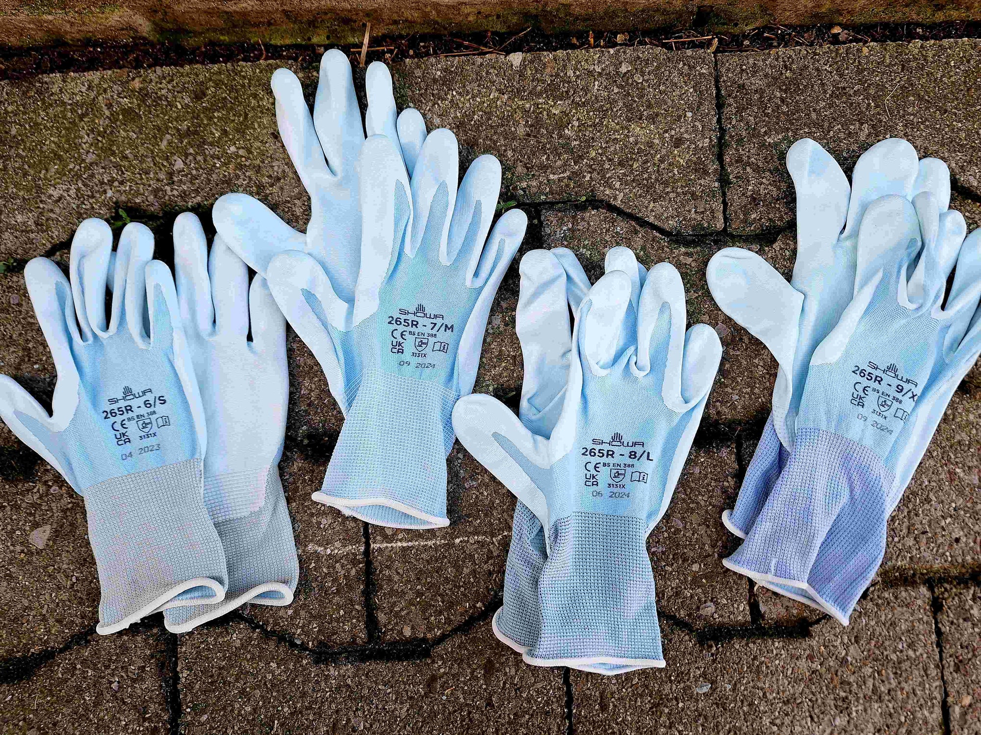 Handschuhe Showa blau