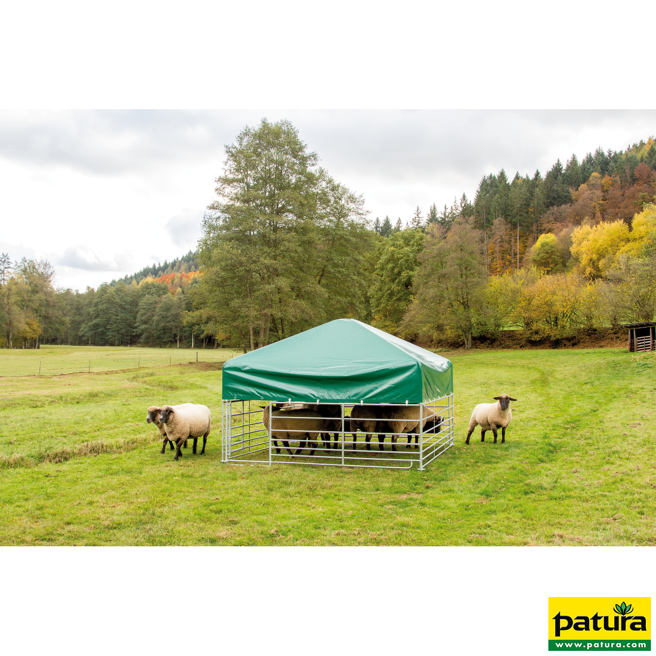 Steckfix mit Dach / Unterstand