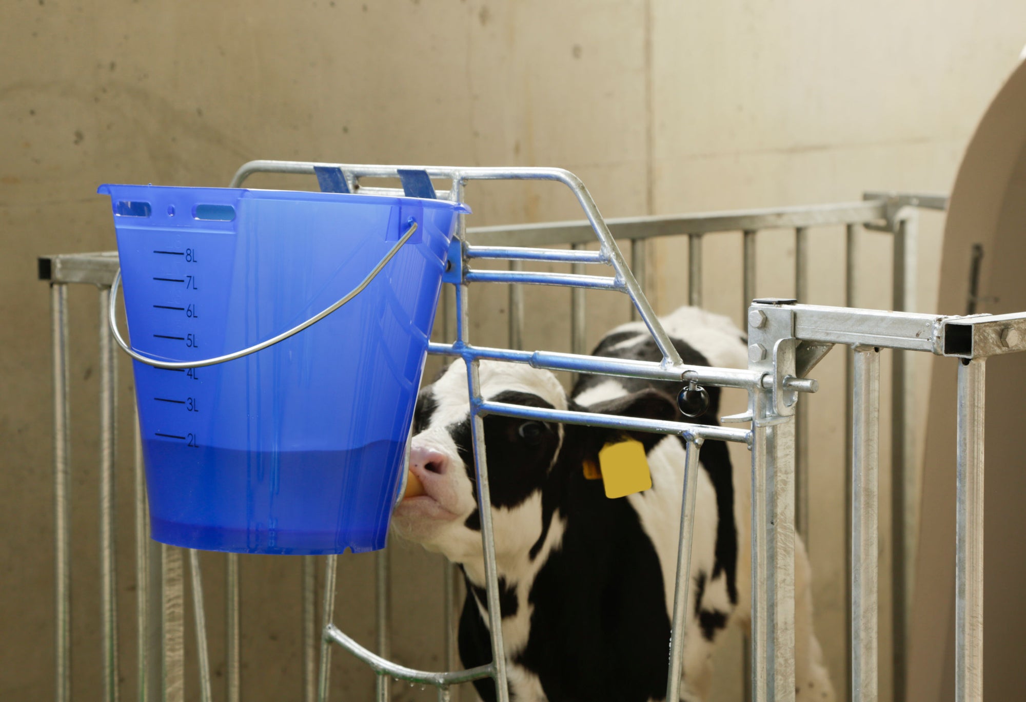 Kälbertränkeimer 8 Liter und Ersatz-Sauger