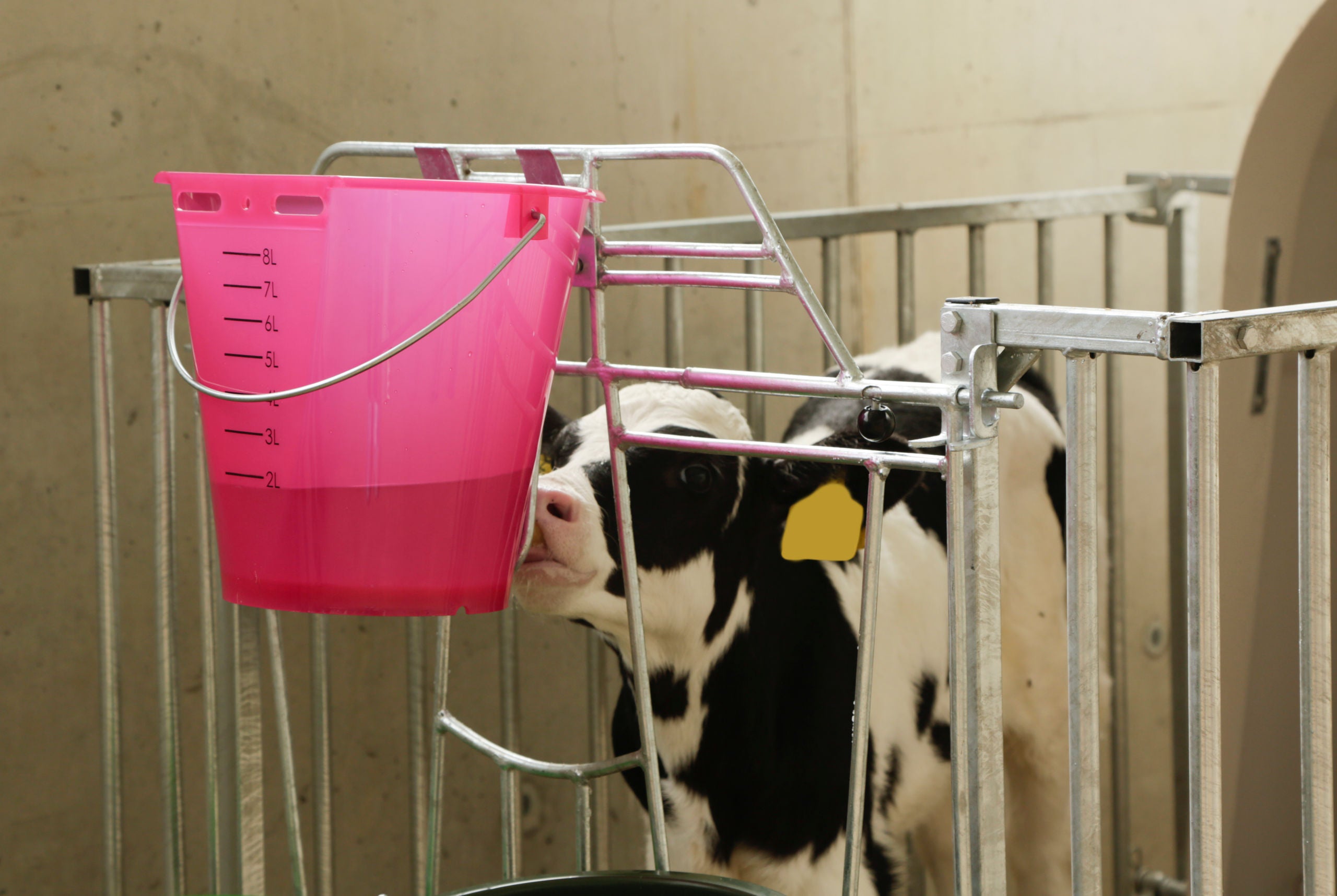 Kälbertränkeimer 8 Liter und Ersatz-Sauger