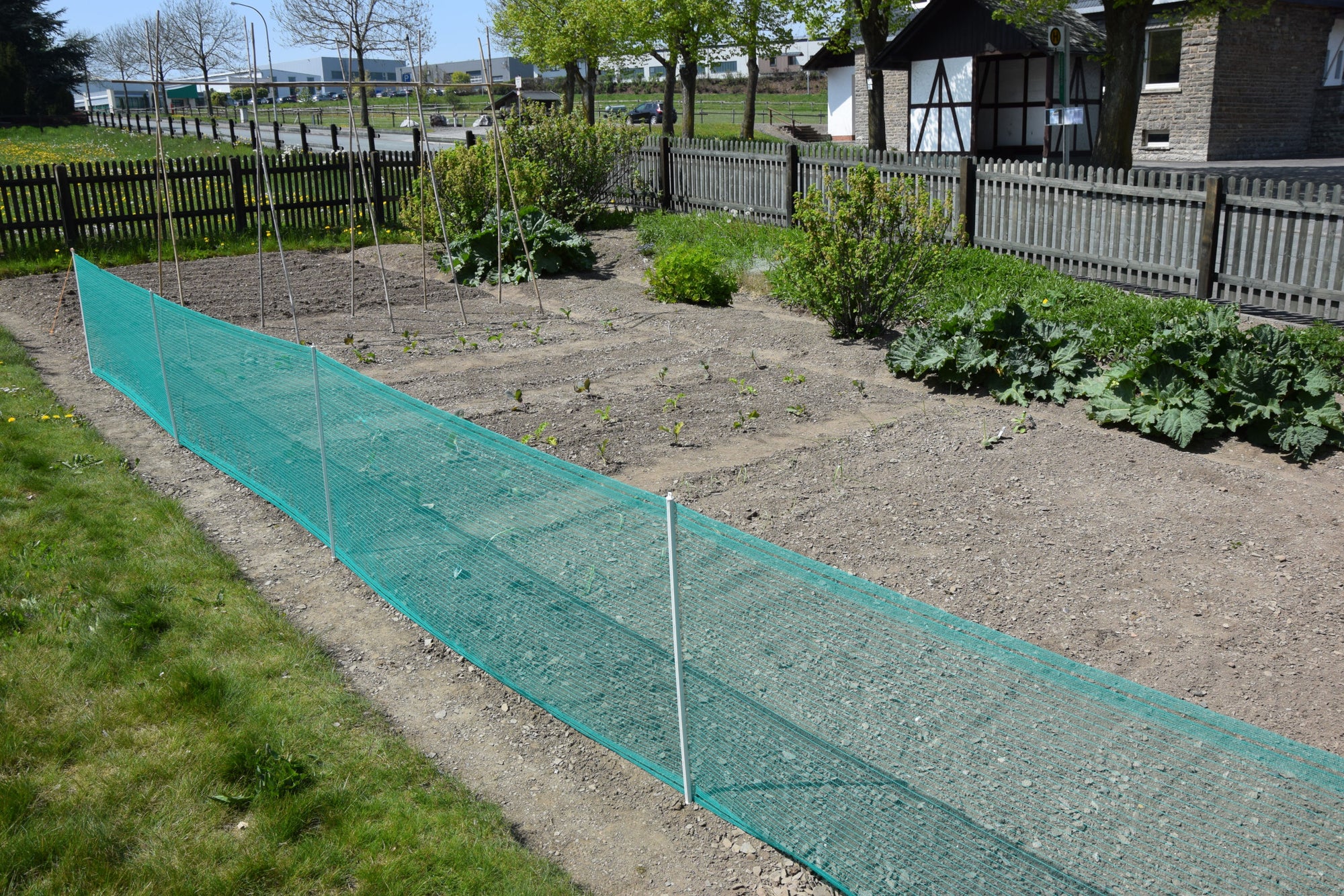 Universal-Netz Höhe 80 cm; 20 Meter