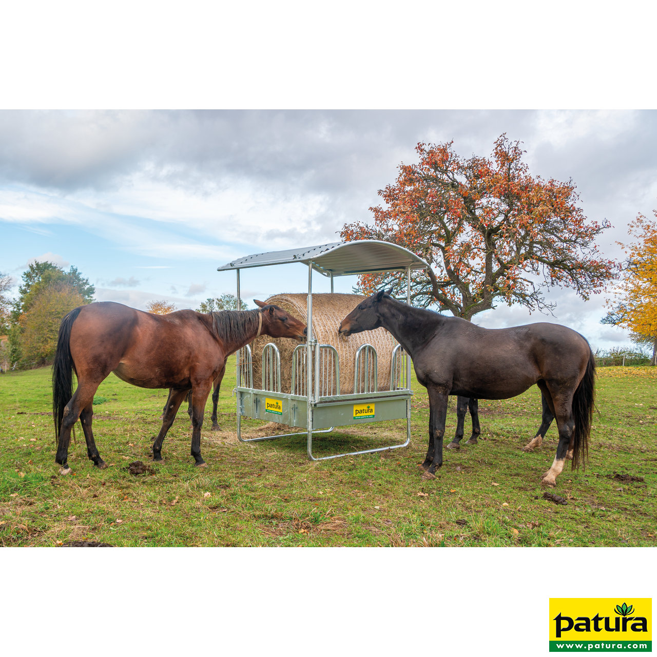 Kleine Viereckraufe Patura, 8 Fress-Plätze