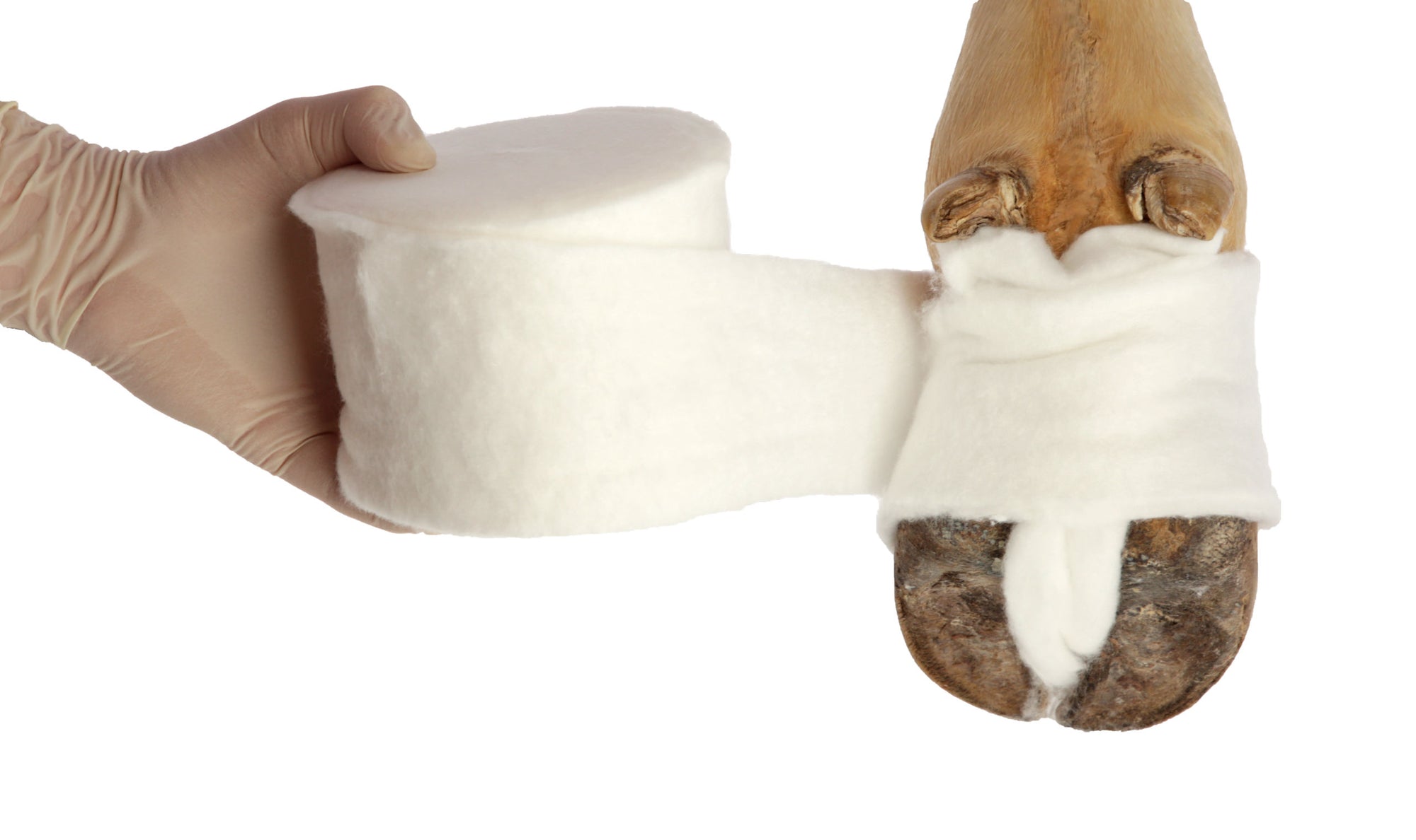 Rollenwatte VisCotto