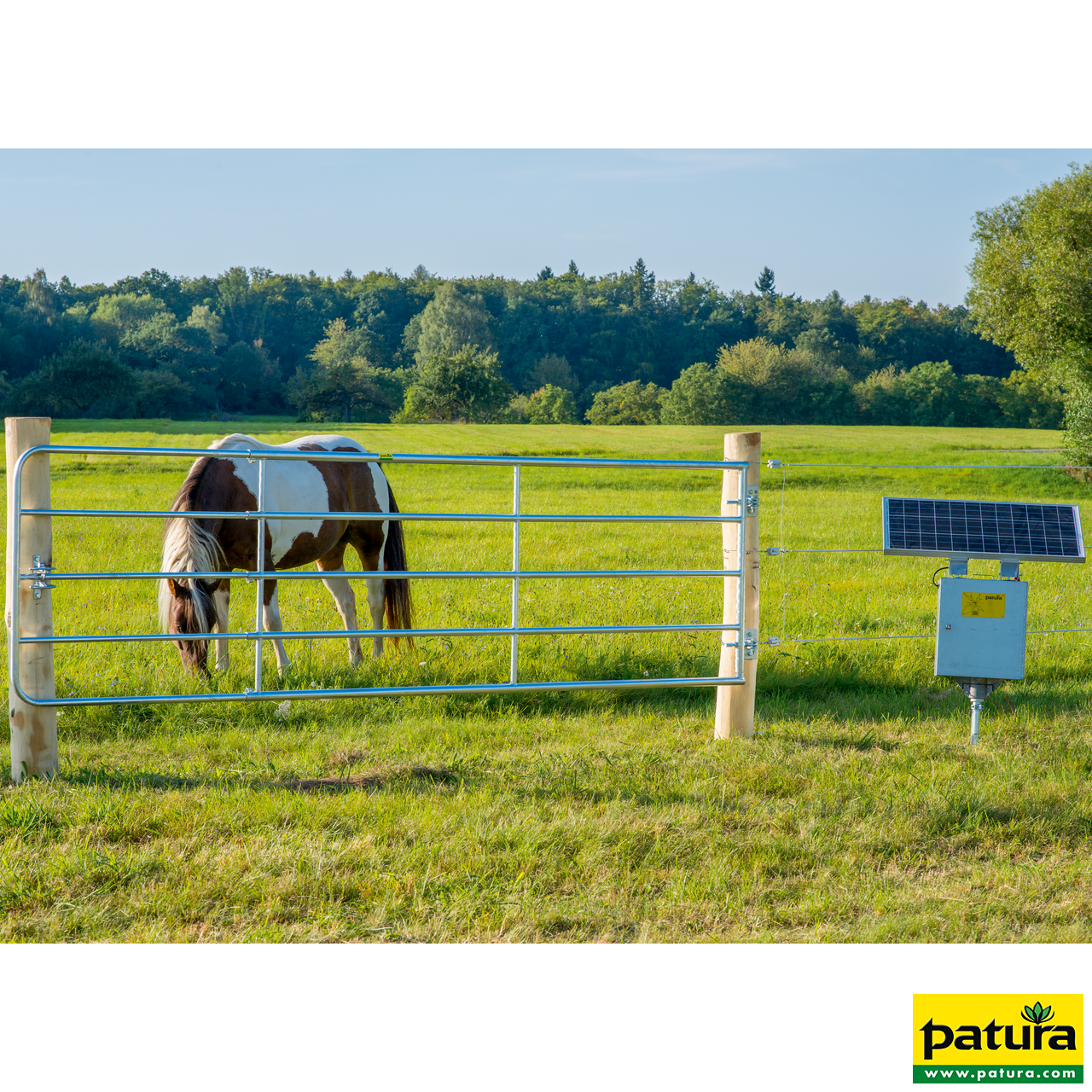 Weidetore Patura 110 cm hoch